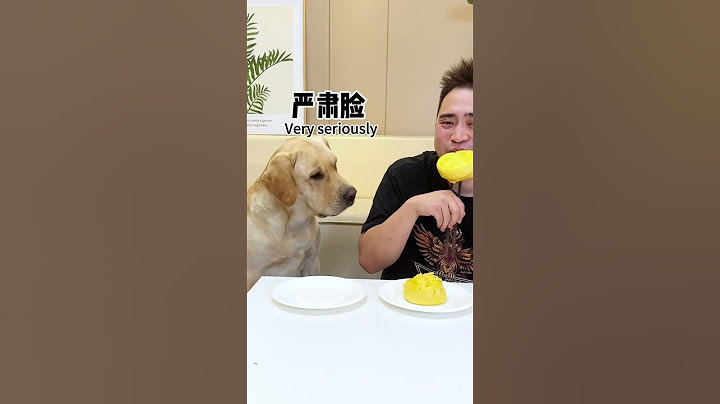 【旺仔很忙🐶Wangzai is busy】狗子：你是不是当我瞎Dog: Do you think I'm blind?