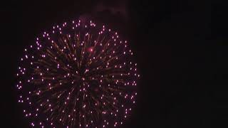 DSCN7429