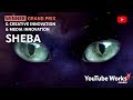 Sheba YouTube Works Awards 2022 Brandcast Version YouTube Ads 