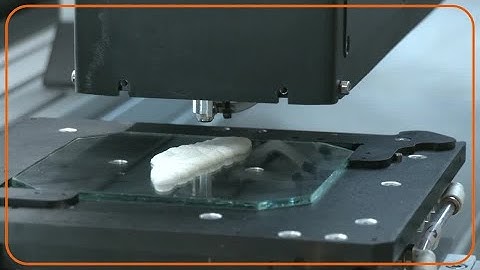3D printers bring a new kind of fish to fry