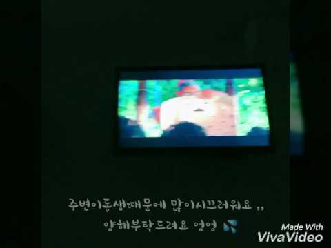 [효월] 🐳모아나후기🌊