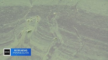Good Question: How do algae blooms form?