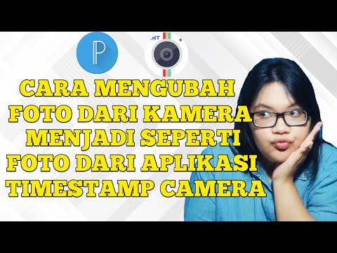 Video: Bagaimana tampilan galeri tim?