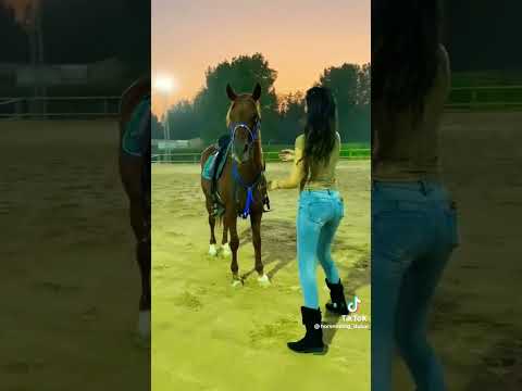 العين يا نور العين