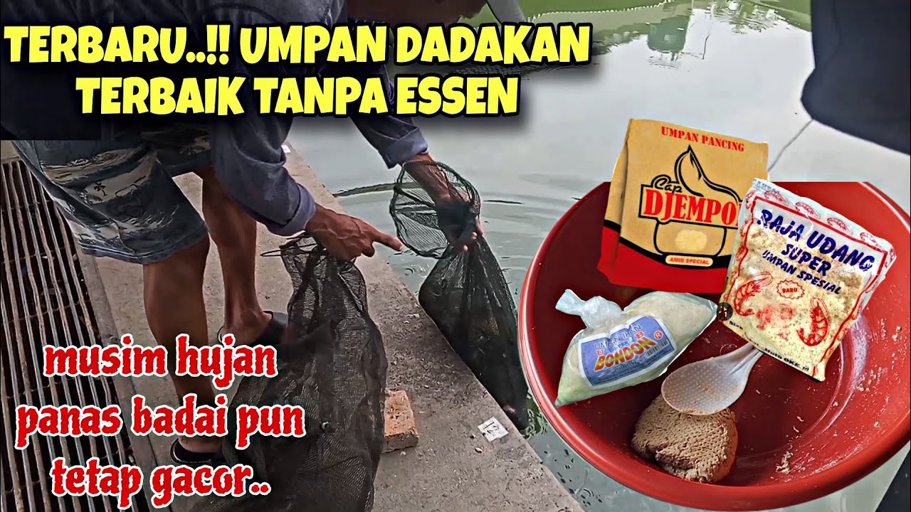 TERBARU‼️UMPAN DADAKAN TERBAIK YANG PERNAH ADA MUSIM HUJAN PANAS BADAI PUN TETAP JITU TONTON ABIS