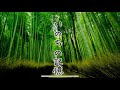 【二胡とピアノ】いのちの記憶 かぐや姫の物語 ジブリ主題歌 映画 二階堂和美【にこまる】