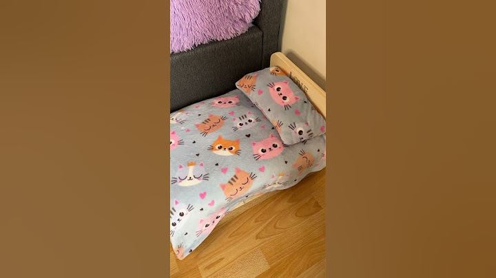 Los gatitos lucirán muy lindos