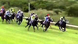 2015.12.19 Cape Guineas (RSA) - Noah From Goa
