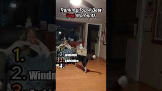 Best Top 5 Dog Moments😂