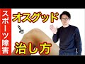 【スポーツ障害】オスグットはこうやって治せ! 整体院羽翼 TSUBASA