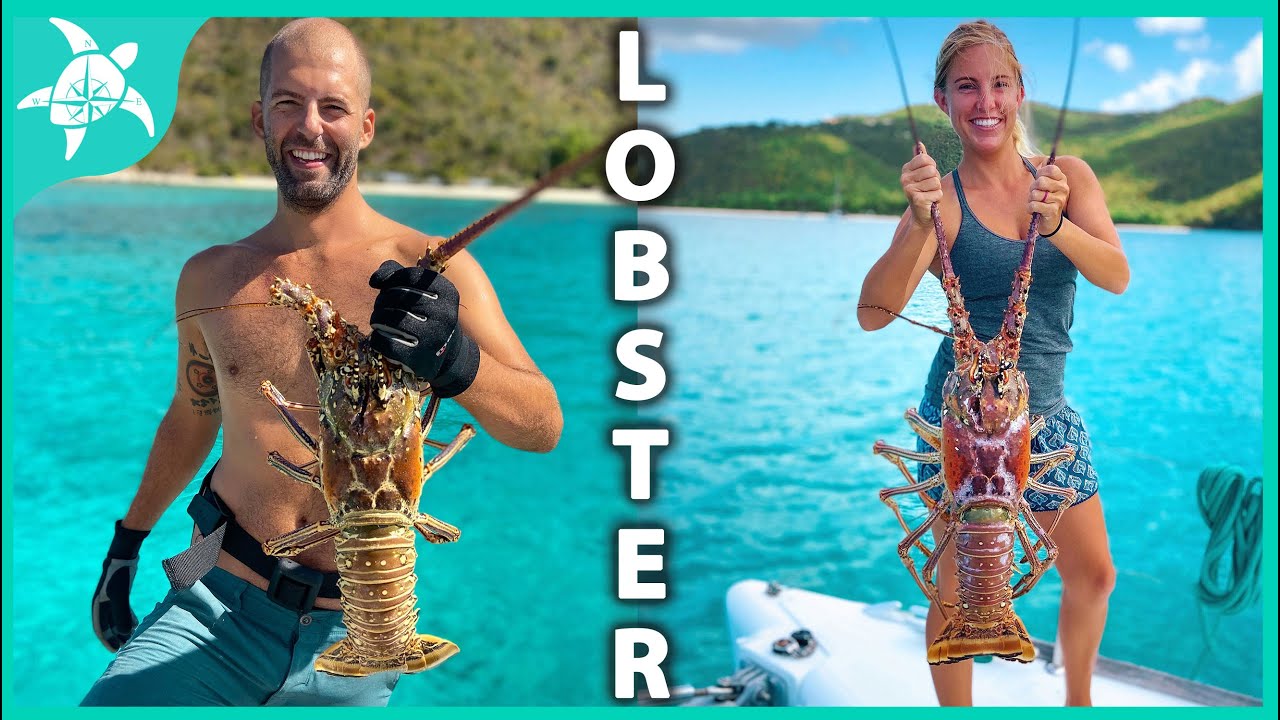 Basically fought a LOBSTER!