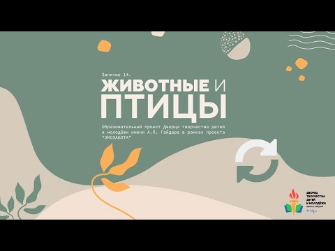 Проект "Экозабота". Занятие 14. Животные и птицы