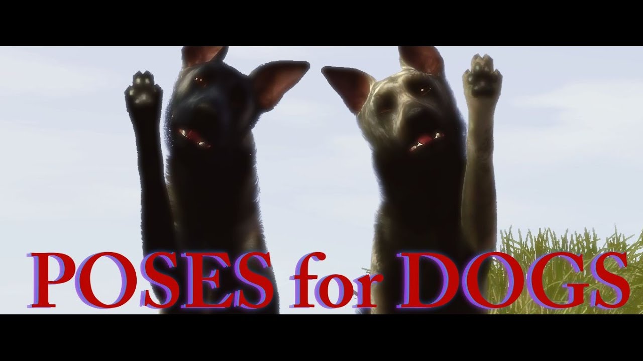 Sims 3 POSES for your DOGS! YouTube