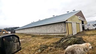 Bought a Dairy Farm! Huge New Announcement!