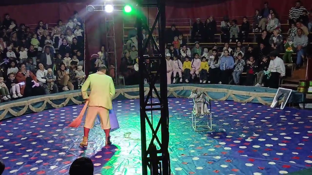 8 января 2026 г.