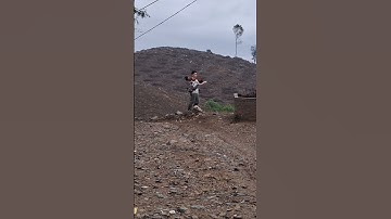 gà rừng cùng tôi đi làm gáy cực phê. coj qaib qus mus ua teb nawb