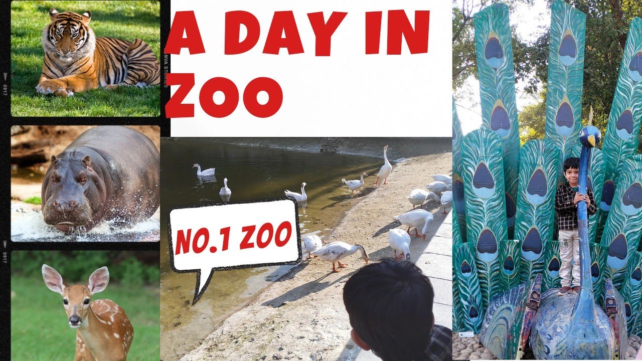 chhatbir zoo | ticket price | timings | kids best place to visit | dinasaur land