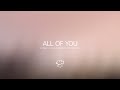 Lonely in the Rain - All Of You (feat. maybealice) [Lyrics Video]