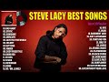 Stevelacy greatest hits full album 2022  best songs of steve lacy playlist 2022
