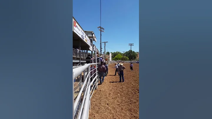 Chalito calf riding in Brawley ca 2016