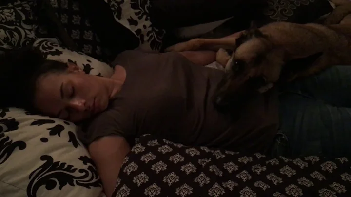 Service dog Layla responding to seizure