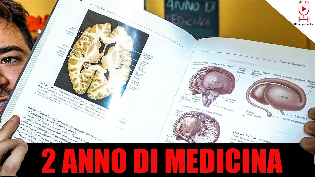 IL MIO 2 ANNO DI MEDICINA, L'ANNO PIU' DRAMMATICO DI TUTTI