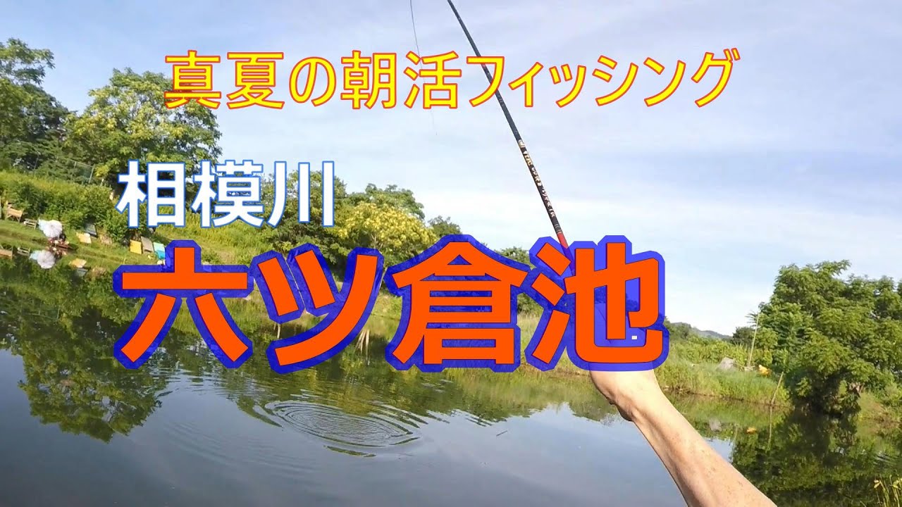 【へらぶな釣り】相模川、六ツ倉池