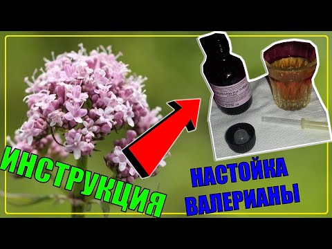 ВАЛЕРИАНЫ НАСТОЙКА ИНСТРУКЦИЯ ПО ПРИМЕНЕНИЮ | СЕДАТИВНЫЙ ПРЕПАРАТ №1 – КАК ПРИНИМАТЬ (ВАЖНО ЗНАТЬ!)