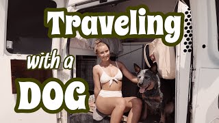 Traveling full-time with my Dog | Road Trip Tips