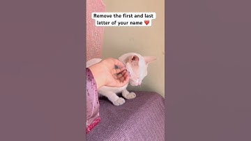 Remove the first and last letter of your name let’s see how cool is your new name 😍 #cat #shorts