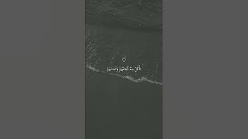 تلاوه خاشعه ارح قلبك وسمعك الشيخ ماهر المعيقلي حالات واتس اب
