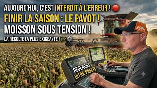 ZÉRO DROIT À L'ERREUR ! On termine la moisson avec le PAVOT 🌾