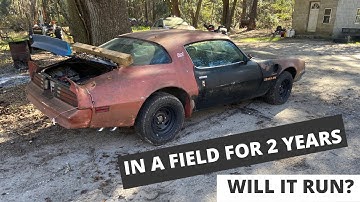 1978 PONTIAC FIREBIRD TRANS AM REVIVAL!!