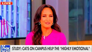 Celebrity Fox News Hosts Have Full Meltdown In Unhinged Rant About Cats Profile