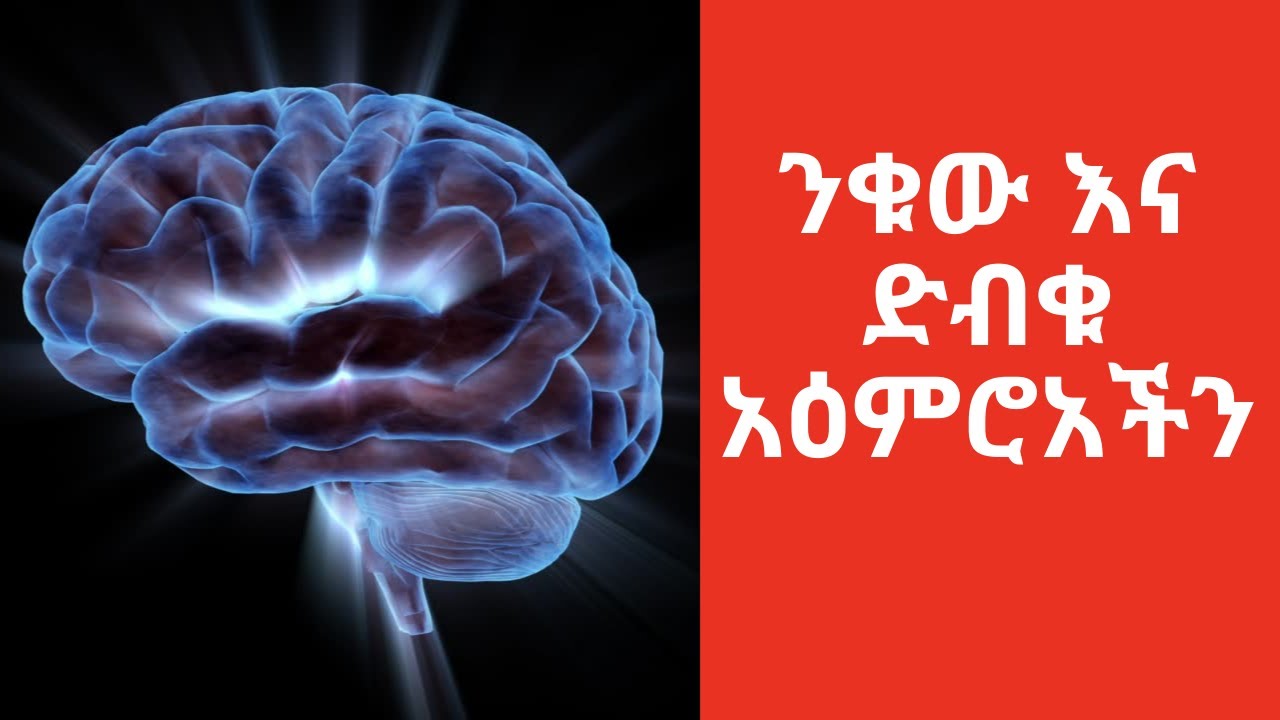 ንቁ እና ድብቁ አዕምሮአችን  TRUTH About Your SUBCONSCIOUS MIND Exposed