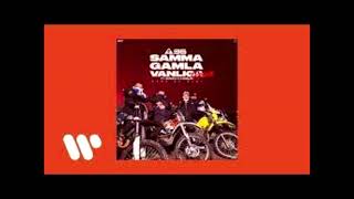 Samma gamla vanliga (feat  Branco & Kamelen) (Remix) (bass boost)