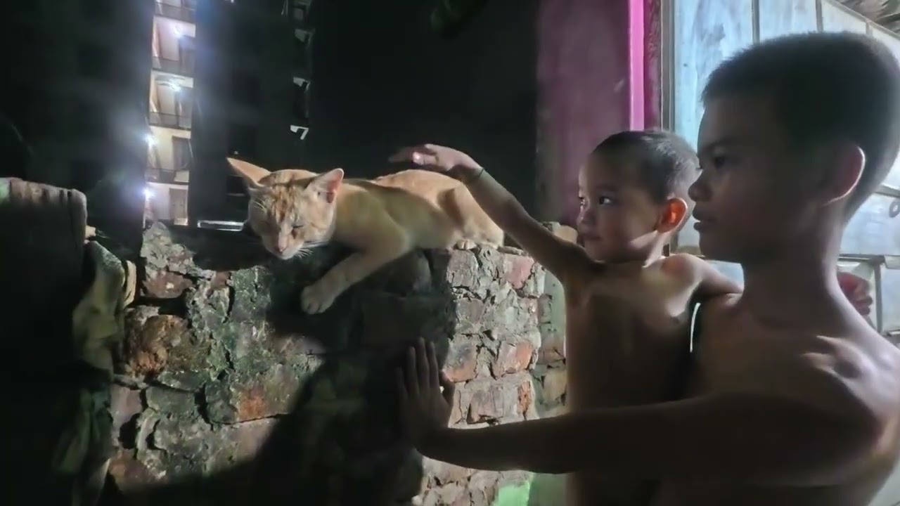 How to sympathetic pet Klang Dee&Yoong