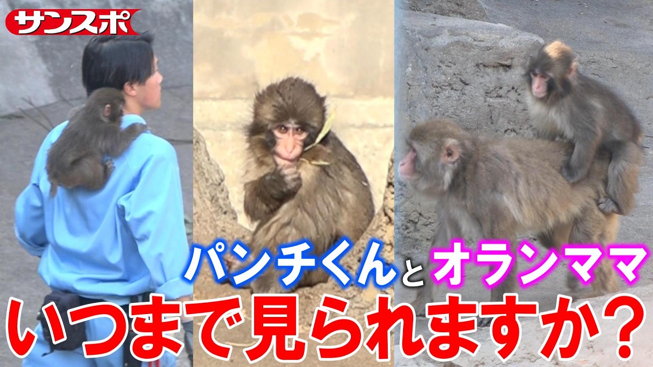 パンクくん MODYSSEYが3RACHAの全面的なクリエイティブな力でパワーアップした