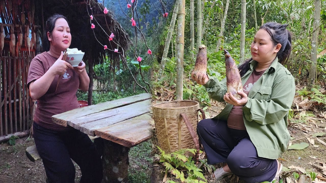 The 8 month pregnant girl went into the forest to find bamboo shoots and cook bamboo shoots.
