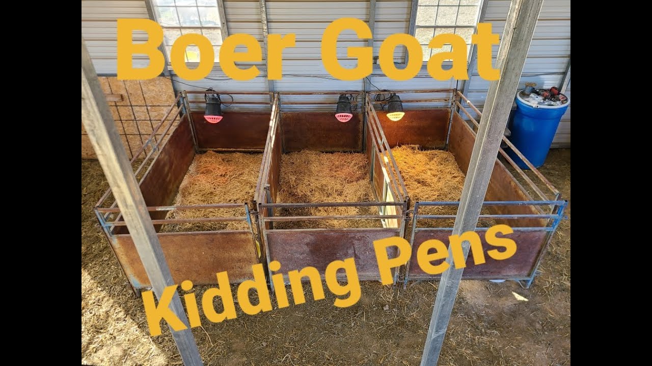 Setting Up Kidding Pens YouTube what-do-you-need-for-an-operators-licence-ntp-online-learning