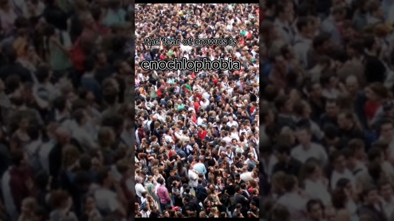 types of phobias/fear 