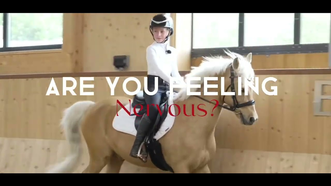Harlows Trainer Capcut YouTube
