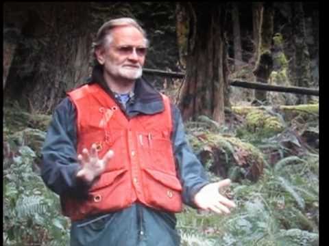 APTN News: Threatened Nanoose Bay Forest - DL 33