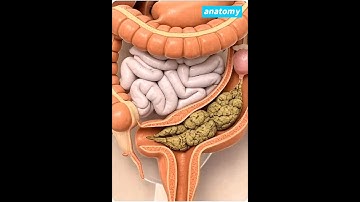 This Is What Happens When You Don’t Poop for Days #anatomy #digestivesystem