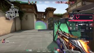 VALOANT 　練習参加OK