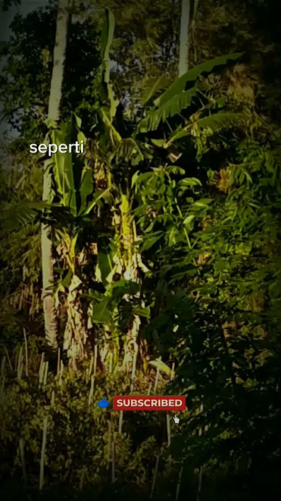 Yesaya 55:8-9 #shorts @herke_sengkey