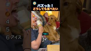 どうしても食べたい!!