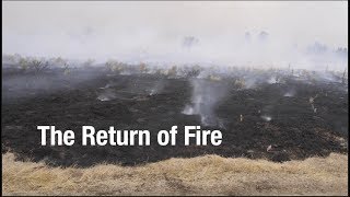 The Return of Fire
