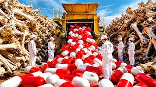 How Animal Bones Are Turned Into Pharmaceutical Capsules | Complete Factory Process