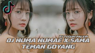 DJ NUMA NUMAE X SAMA TEMAN GOYANG DUMANG VIRAL TIKTOK